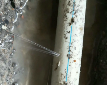 喀什地卫生间测漏水多少钱